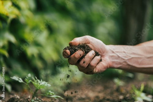 Farmer checks soil. Organic gardening concept.