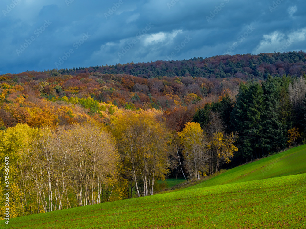 Herbstzeit auf Feld und Flur, Farben explodieren