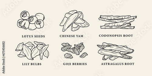 Line art Chinese herbs collection