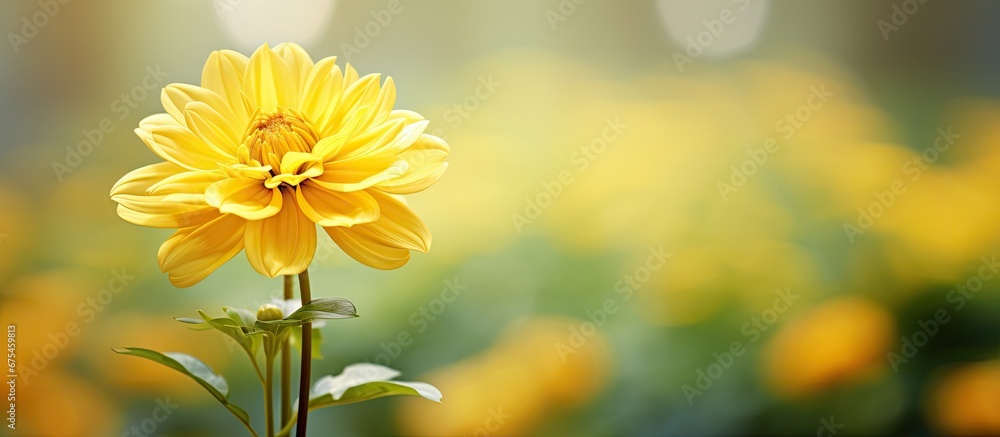 Obraz premium In the beautiful garden a closeup of a yellow flower showcases the stunning beauty of spring highlighting the vibrant colors and natural charm of nature