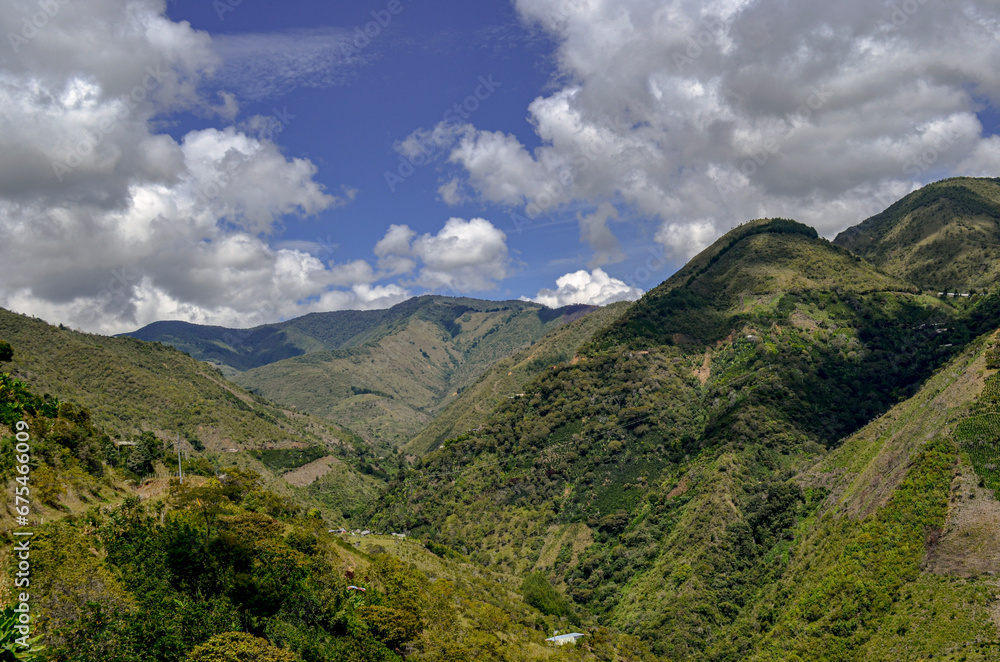 Mountain Landscape with Coffee Lands Below Mountain Landscape with Coffee Lands Below