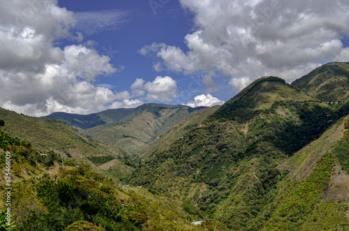 Mountain Landscape with Coffee Lands Below