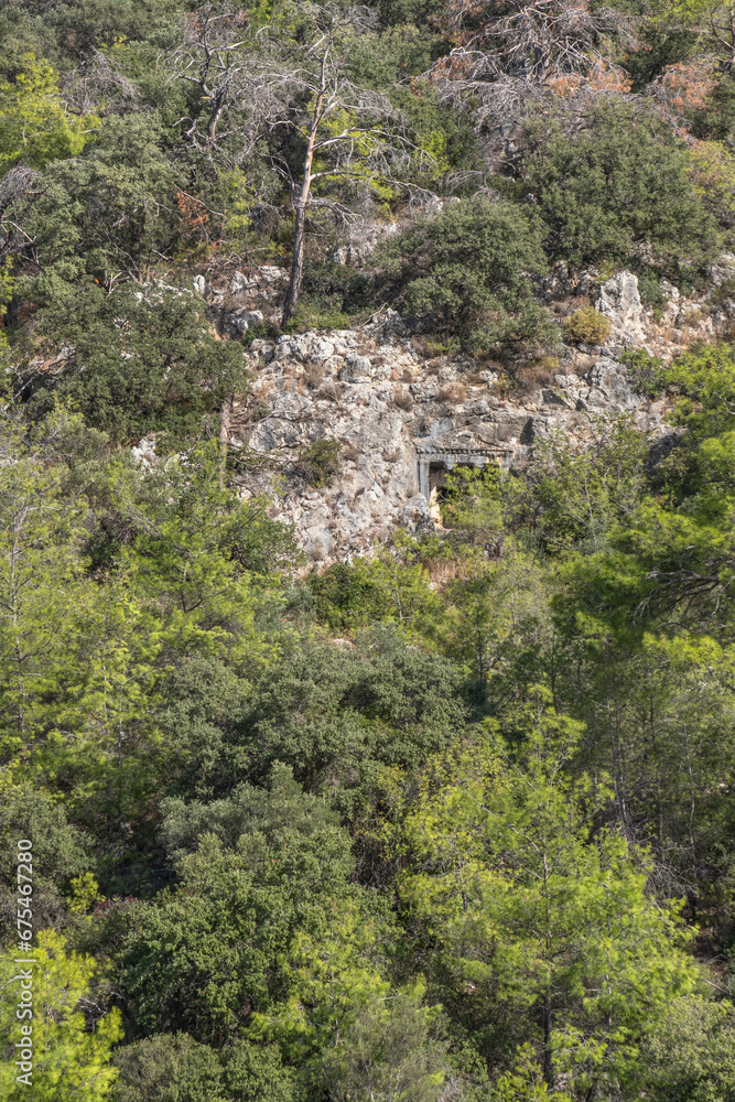 ancient rock tombs in the forest area. gocek, mugla, turkey