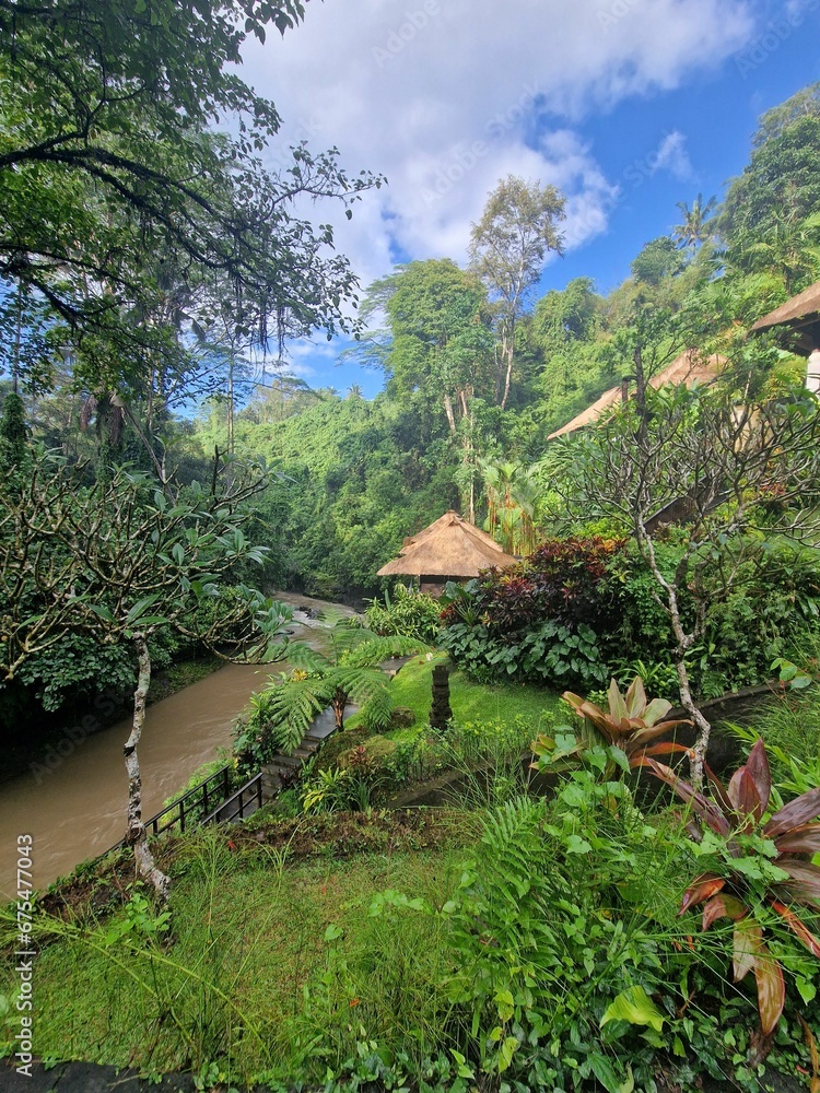 view of a large river running through a lush green hillside view of a large river running through a lush green hillside