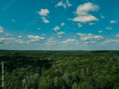 an aerial shot over the forest with blue skies and white clouds © Wirestock