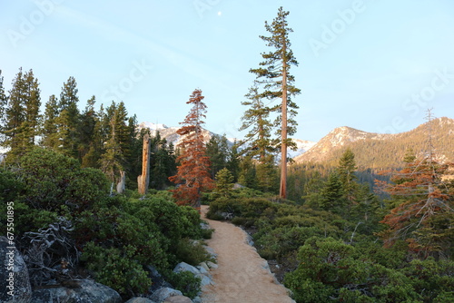 Tahoe trail
