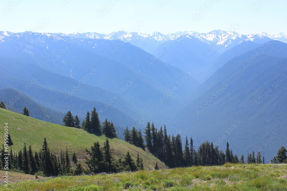 Scenic view of a mountain range covered with greenery on a sunny day