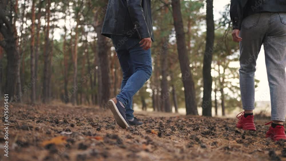 a couple walks with a dog in the forest. nature dream concept. a couple walks through a coniferous evening forest with a small fluffy dog. guy and girl walking in nature with a dog a couple walks with a dog in the forest. nature dream concept. a couple walks through a coniferous evening forest with a small fluffy dog. guy and girl walking in nature with a dog