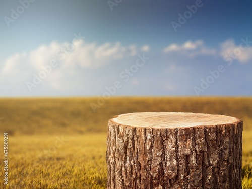 Wood Podium for products on natural background with sunlight