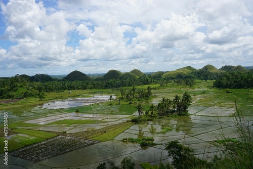 Lush  green rice field  gradually ascending to a backdrop of distant mountains