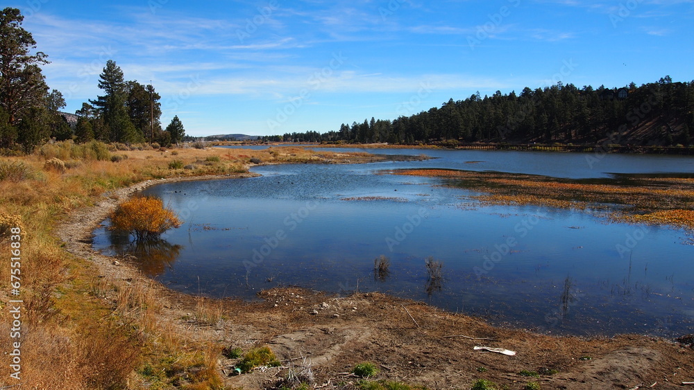 Low water marshland by the Big Bear Lake