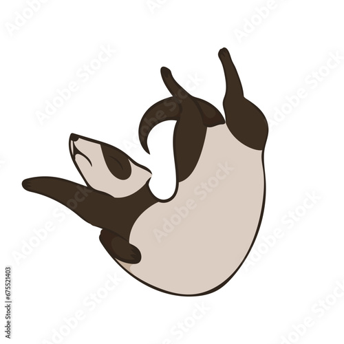 Vector illustration of cute ferret. Sleeping animal. Image isolated on white background. Simple design element. Design of posters menus childrens products websites