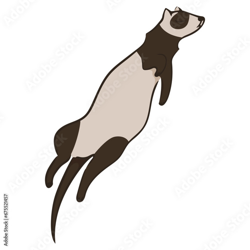 Simple image of sleeping animal. Ferret vector illustration. Simple design element. Design of menu posters banners stationery clothing childrens products