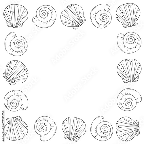 Seashells, mollusks vector graphic sketch handdraw frame 