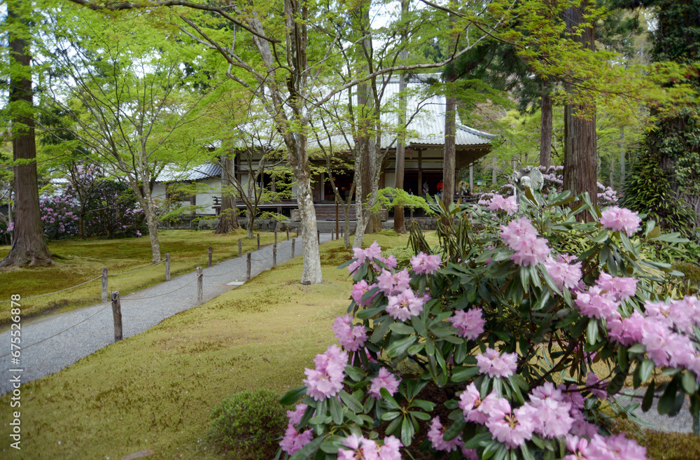 Naklejka premium 三千院 本堂 京都市左京区大原