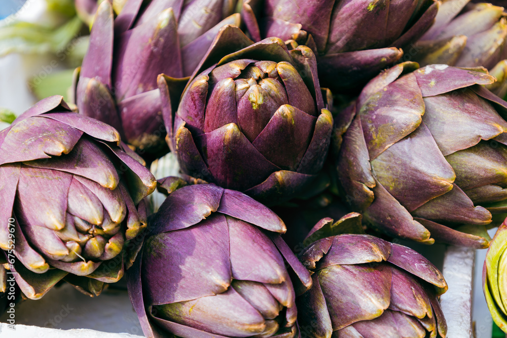 Close up of organic fresh violet artichokes in a box at outdoor farmers market. Cynara cardunculus var. Scolymus. Vegan food and healthy nutrition concept. Artichoke for sale in the street in Europe. Close up of organic fresh violet artichokes in a box at outdoor farmers market. Cynara cardunculus var. Scolymus. Vegan food and healthy nutrition concept. Artichoke for sale in the street in Europe.