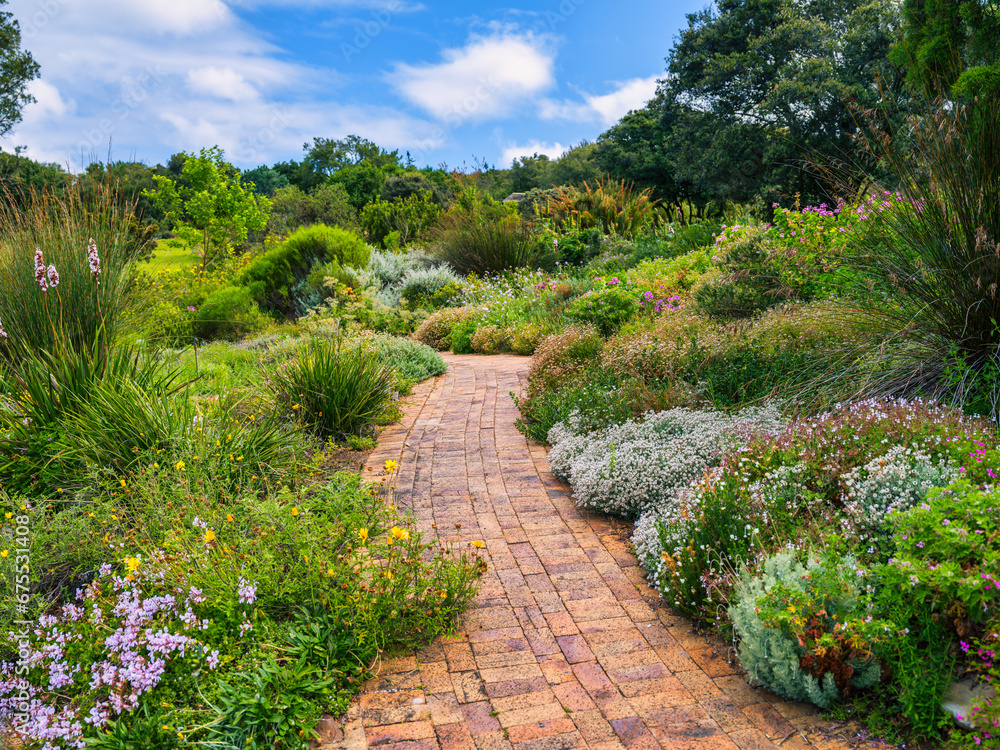 Brick paved walkway through colorful flowers in Kirstenbosch National Botanical Garden, Cape Town, South Africa