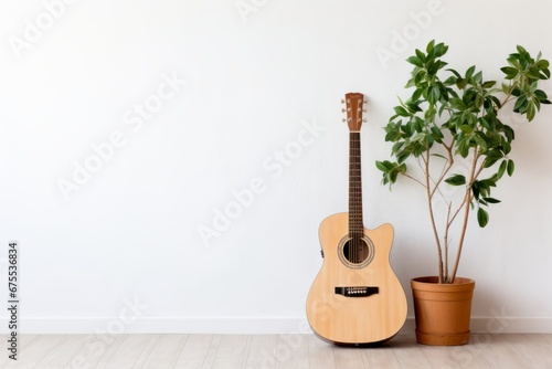 Guitar leaning against a wall next to a plant
