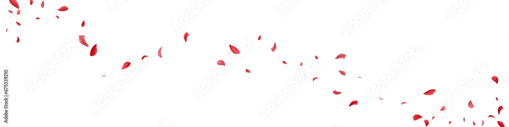 Delicate Flower Blur Vector White Panoramic