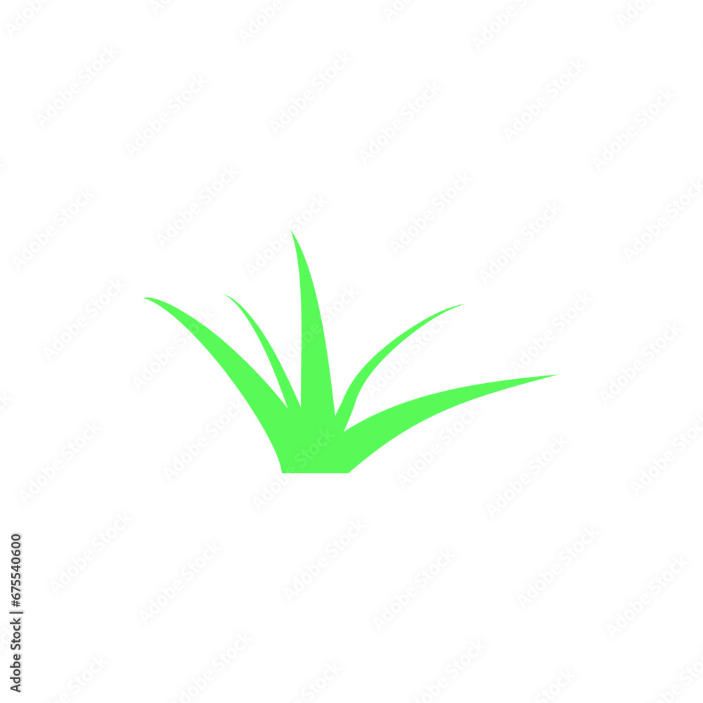 Fototapeta premium Grass