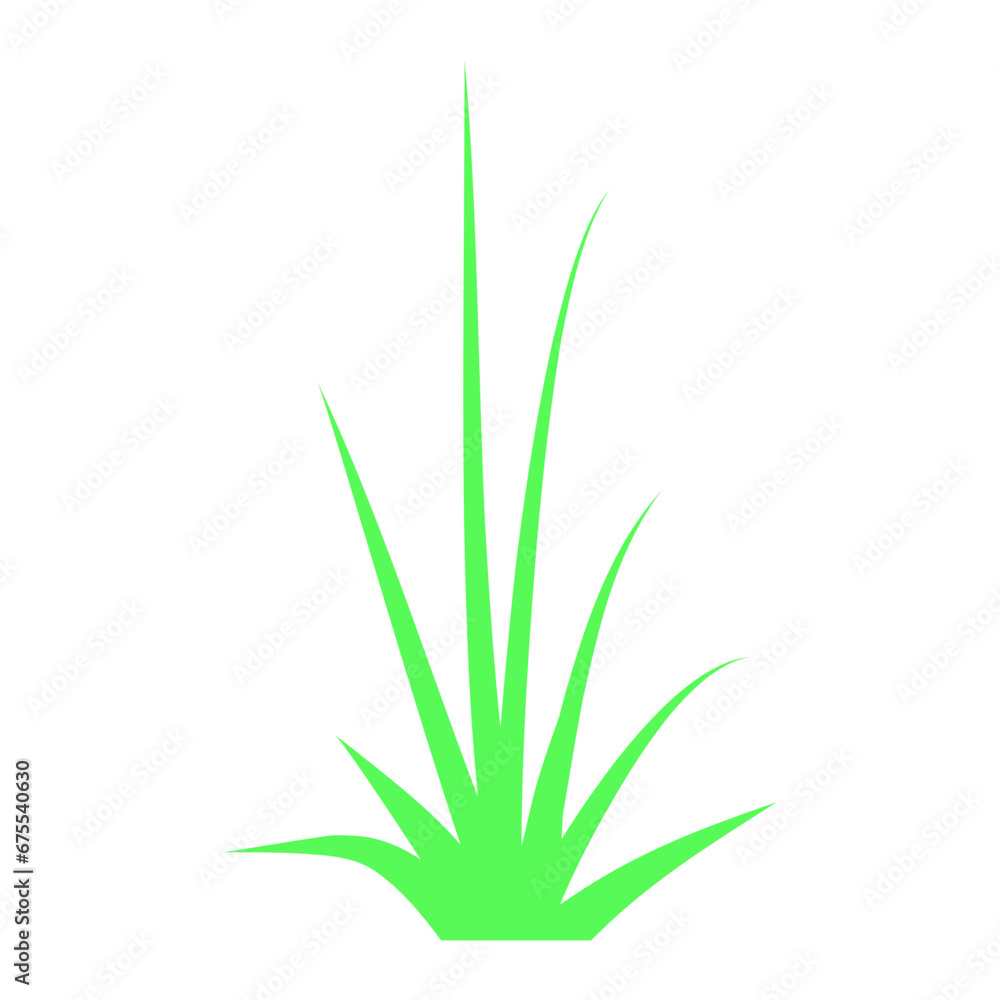 Grass Grass
