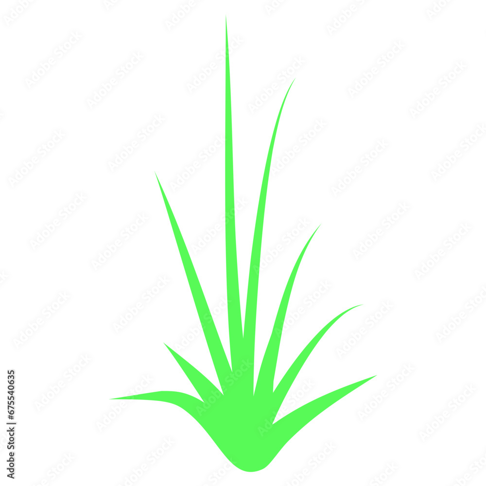 Grass Grass