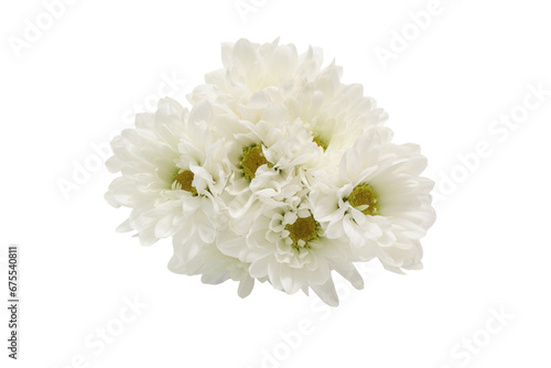 Fototapeta Naklejka Na Ścianę i Meble -  白バックの白色の菊の花束