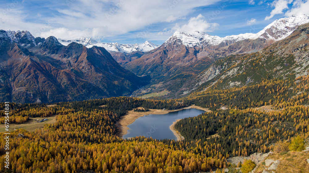 Fototapeta premium Foliage all'Alpe e Lago Palù, Valmalenco, in autunno