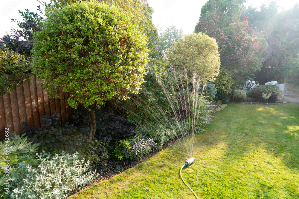 Sprinkler and hosepipe in English summer garden.
