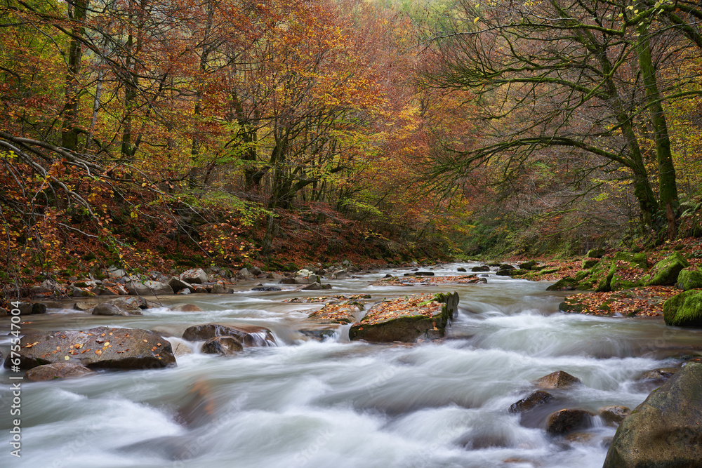 Landscape with a river in the forest Landscape with a river in the forest
