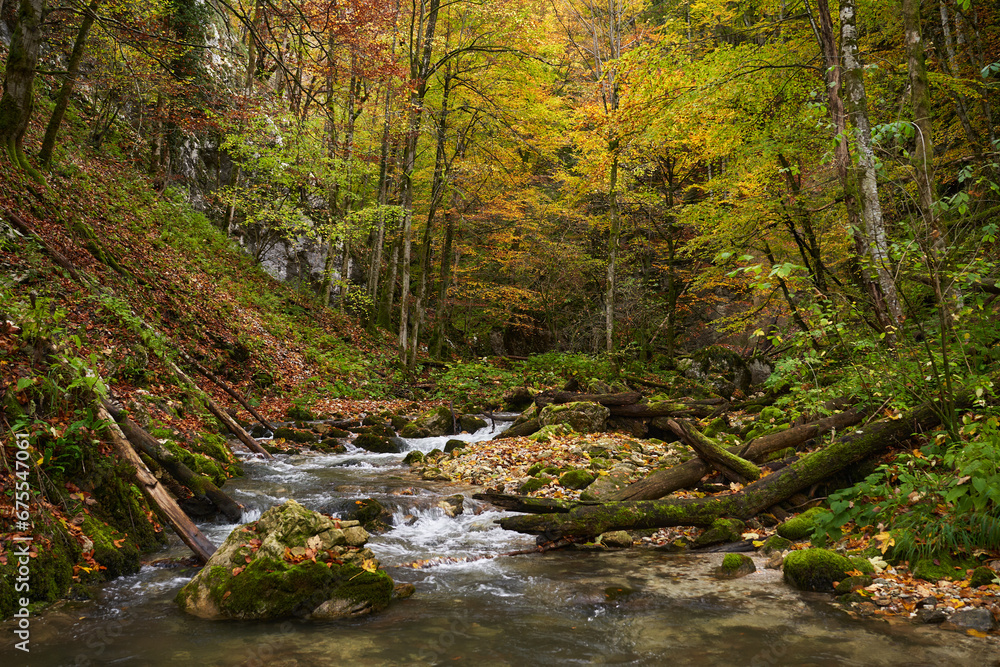 Landscape with a river in the forest Landscape with a river in the forest