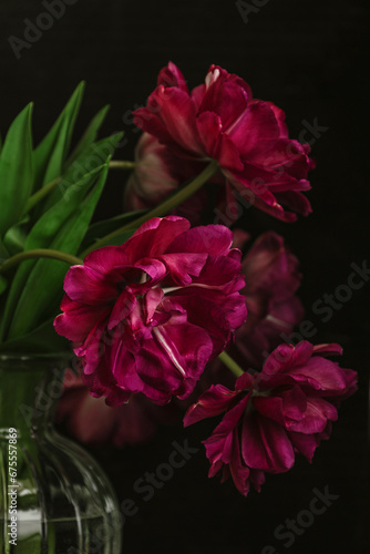 bouquet of dark red lilac tulips in glass vase on dark background. flower bouquet in vase on table. Gift interior decoration. florist, decorator. Flower shop.