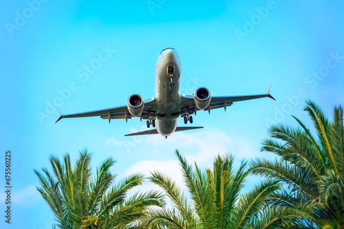 passenger plane flies over palm trees. air transport industry