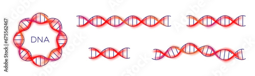 DNA icon, long genetic molecule structure, dna colored set