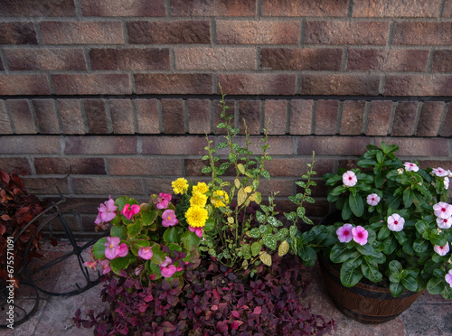 デザインされた壁と鉢植えの花 © Imagepocket