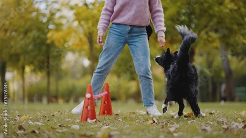 Female dog handler teaches commands to control dog behavior photo