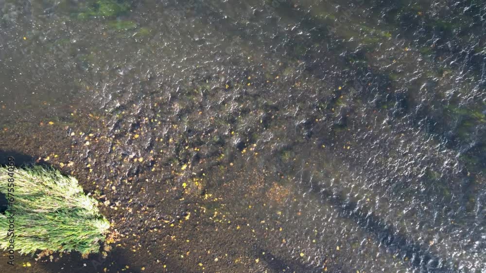 Aerial view of the Bobr River in Poland Aerial view of the Bobr River in Poland