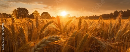 Free photo of beautiful rural landscape with distant sunset scenery in the background.