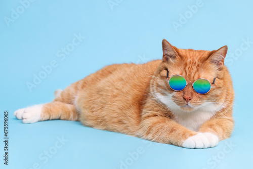 Cute ginger cat in stylish sunglasses lying on light blue background