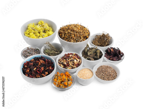 Many different dry herbs and flowers in bowls isolated on white