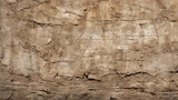 茶色く乾いた土壁のテクスチャー背景素材