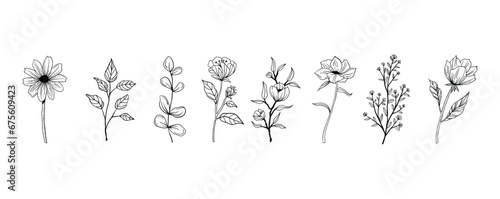 Set of hand drawn decorative elements. Vector illustration