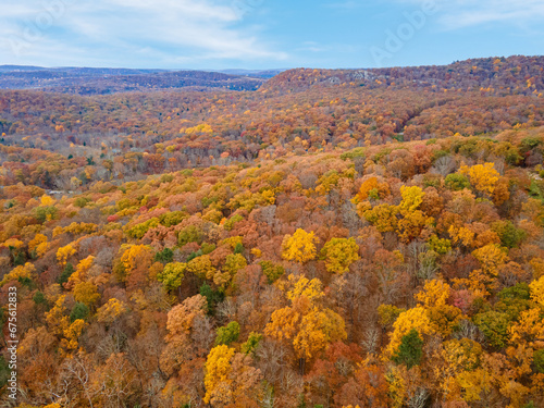 Scenic aerial overview of foliage up the mountains