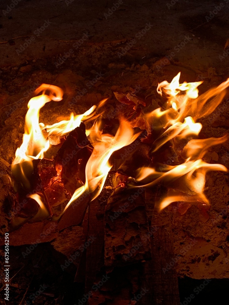 fire in fireplace born camping forest fire in fireplace born camping forest