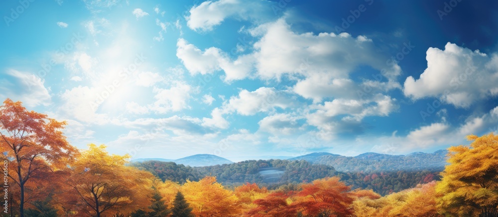 In the background the sky painted a beautiful tapestry of blues setting a stunning backdrop for the vast forest and its golden autumn trees creating a breathtaking landscape that showcased 