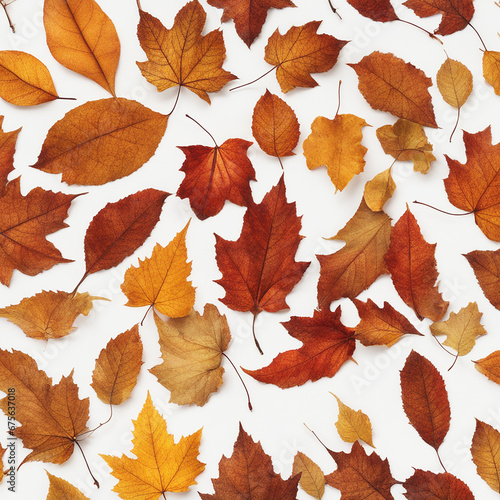 plain white background in the center and autumn leaves around