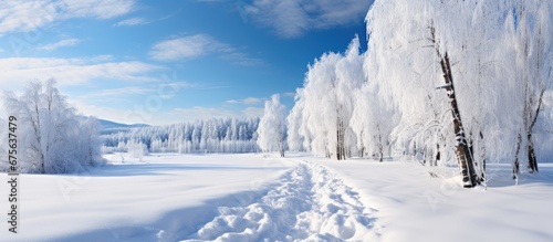 The winter landscape was transformed into a breathtaking scene as the white snow covered the forest coating the trees and turning the road into a glistening path of ice under the clear sky c © TheWaterMeloonProjec