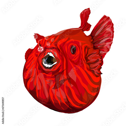 a red puffer fish, without background