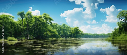 The bright day painted the sky with scattered clouds as the lush green trees and flourishing plants added to the vibrant flora of the bayou