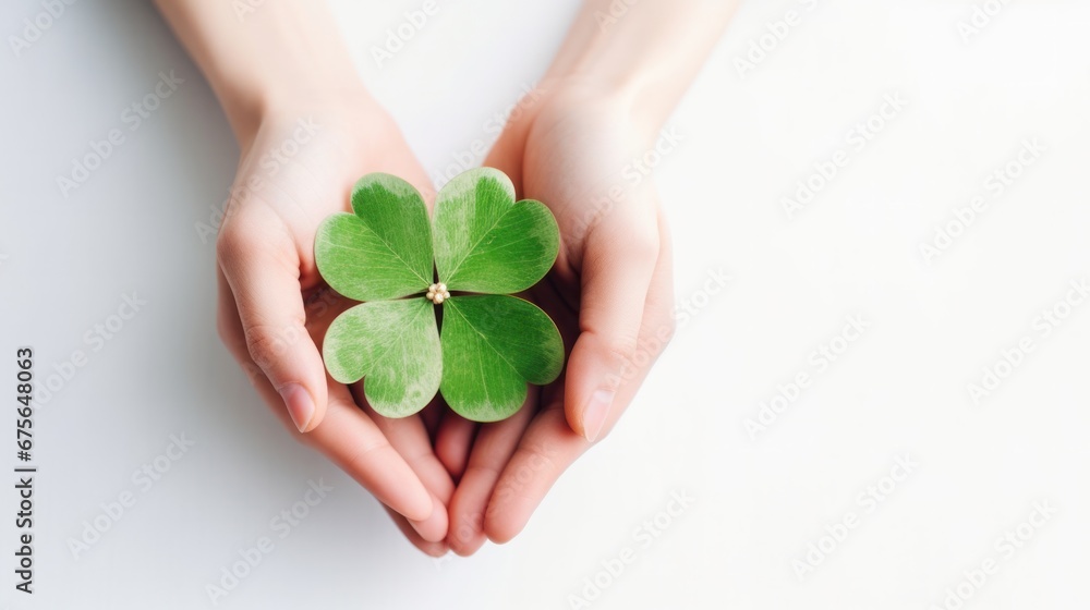 Hands holding green four leafs clover isolated on white background. St.patrick's day, Mock up template product presentation. Copy text space. Hands holding green four leafs clover isolated on white background. St.patrick's day, Mock up template product presentation. Copy text space.
